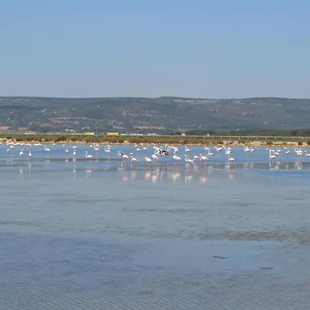 Διαμέρισμα Les Goelands